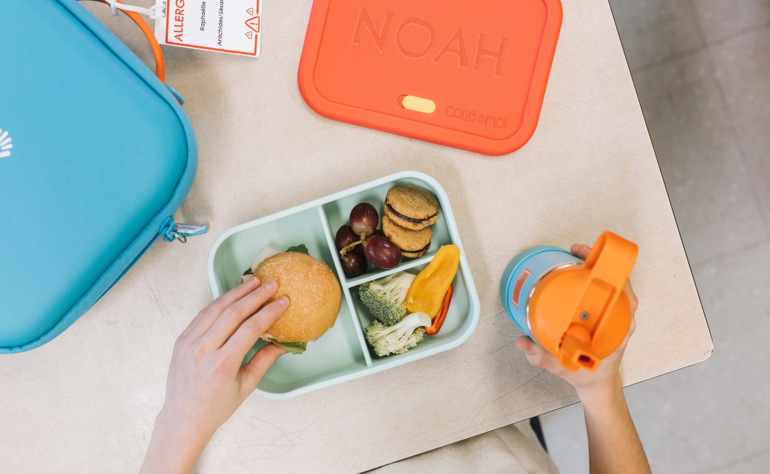 간편하게 준비하는 도시락으로 즐기는 야외 나들이